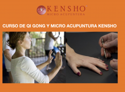 Qi Gong & Micro Acupuntura Kensho