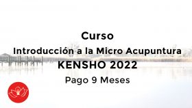Curso 1º Micro Acupuntura Kensho 2022  (Pago 9 Meses)