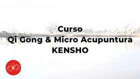 Qi Gong & Micro Acupuntura Kensho